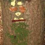 Baumgeist mit Moosbart