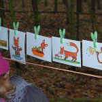 Bekanntschaft mit dem Fuchs 1