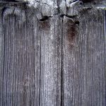 Fotoexkursion 11