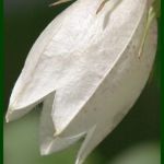 IMG 0218