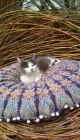 IMG 20190423 135715