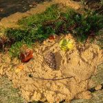 Landart 1