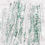 Martins Rindenfrottage-an der Tanne ( 5.Klasse)