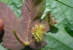 Naturerlebniswanderung 1