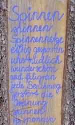 Wiese 2