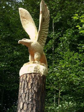 adler