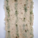 IMG 7962
