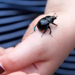 Natuer erleben Aengste verlieren