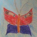 Schmetterling 2