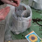 Selbstgedrehte Papiertoepfe bepflanzen