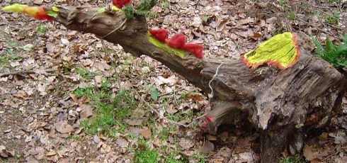 Walddrache